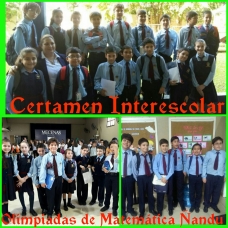 Olimpíadas de Matemáticas Ñandú 2017 - Instancia interescolar